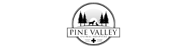 PineValleylogo Pine Valley Animal Hospital