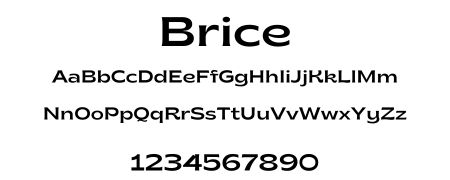 Brice Font Card