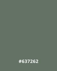 Color 637262